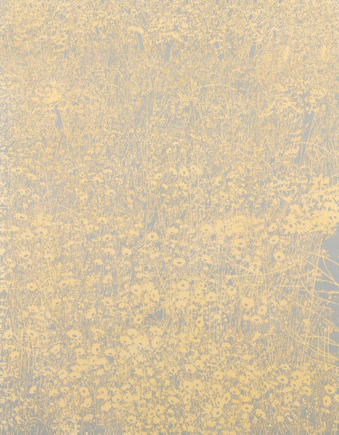 Edward Chell, (b.1958), Soft Estate I, 2017, oil on shellac on 400gsm heritage acid-free watercolour drawing paper, 135 x 105 cm